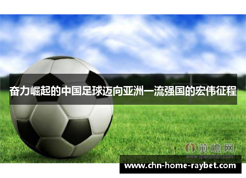 奋力崛起的中国足球迈向亚洲一流强国的宏伟征程 奋力崛起的中国足球迈向亚洲一流强国的宏伟征程